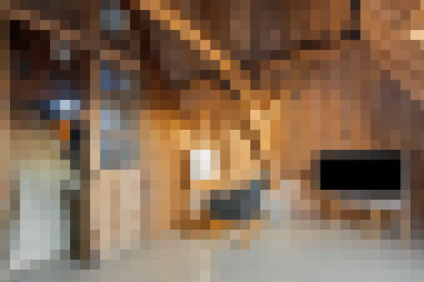 Grotestraat 37 Well L thumbnail 30