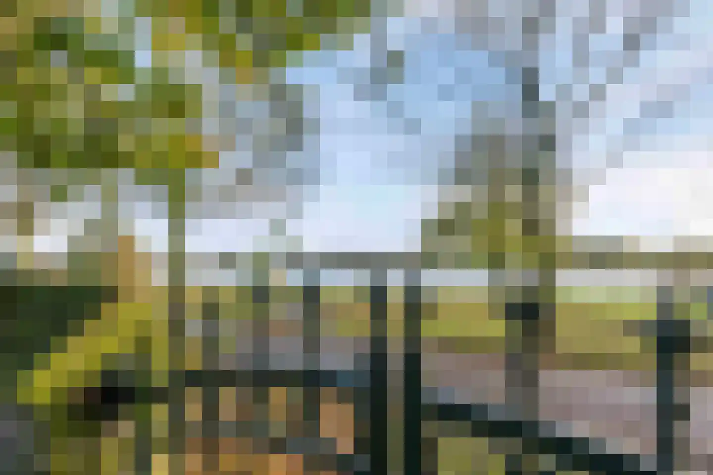 Grotestraat 37 Well L thumbnail 35