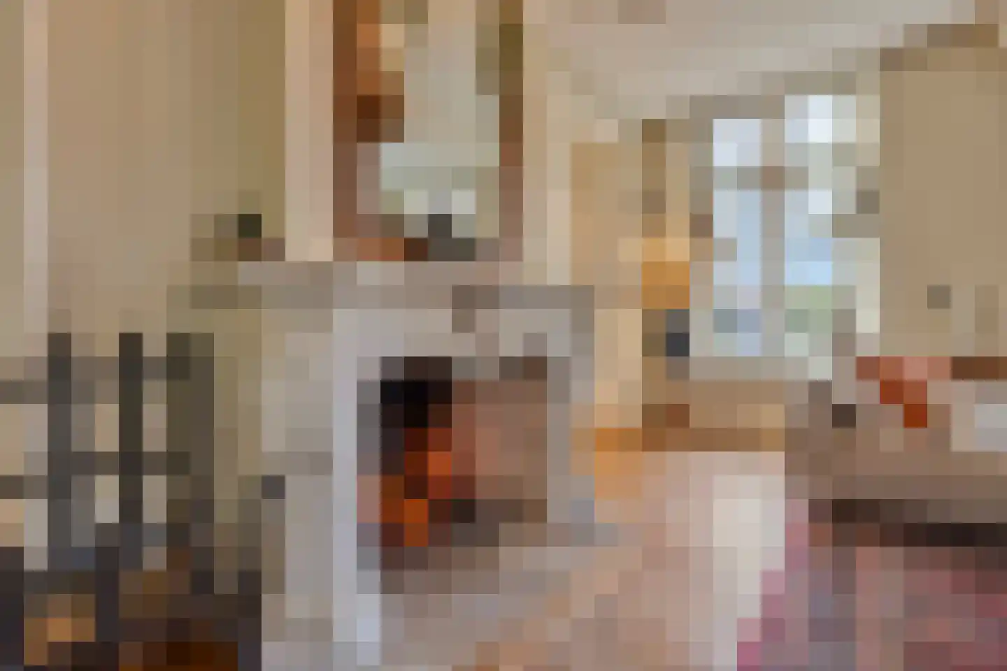 Grotestraat 37 Well L thumbnail 6