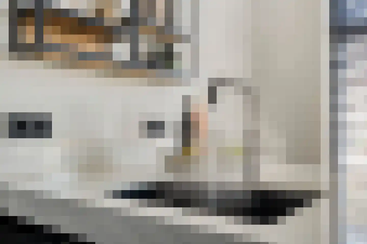 Grotestraat 38 Sambeek thumbnail 19