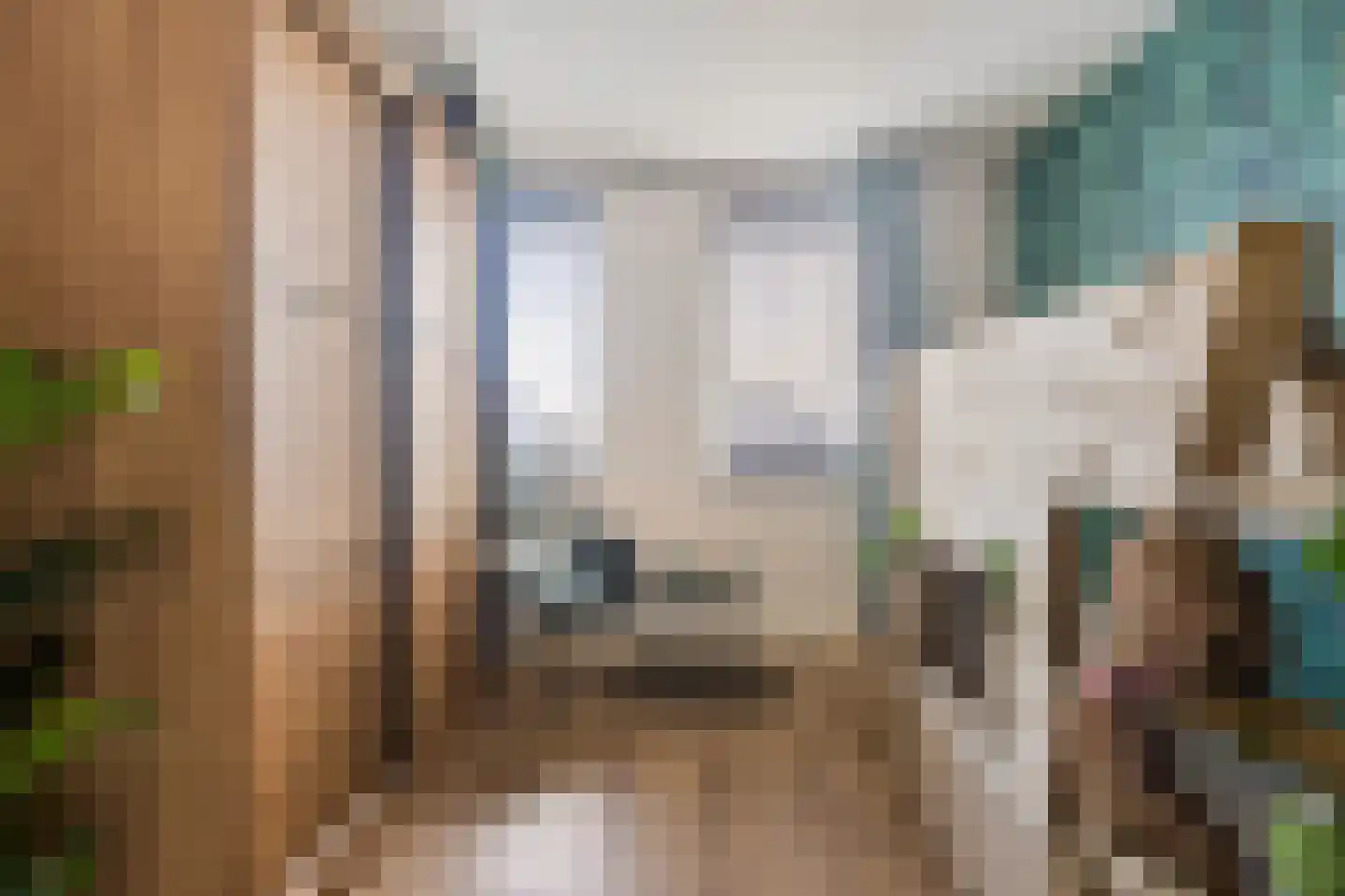 Grotestraat 38 Sambeek thumbnail 35