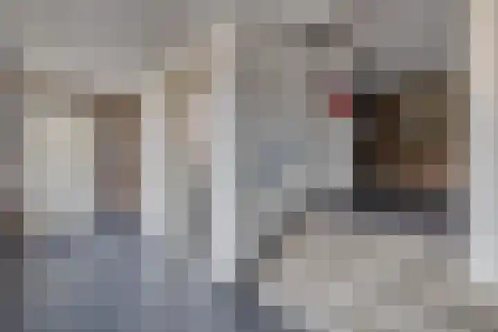Grotestraat 381 c Waalwijk thumbnail 10