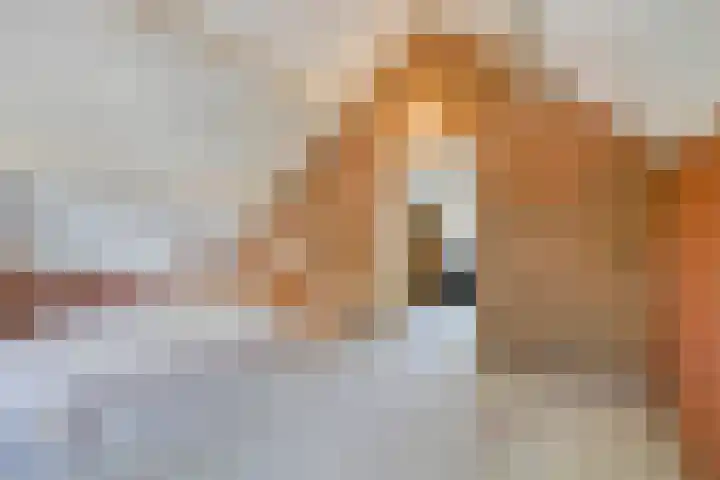 Grotestraat 39 Deest thumbnail 28