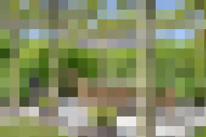 Grotestraat 39 Deest thumbnail 37