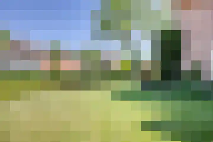 Grotestraat 39 Deest thumbnail 38