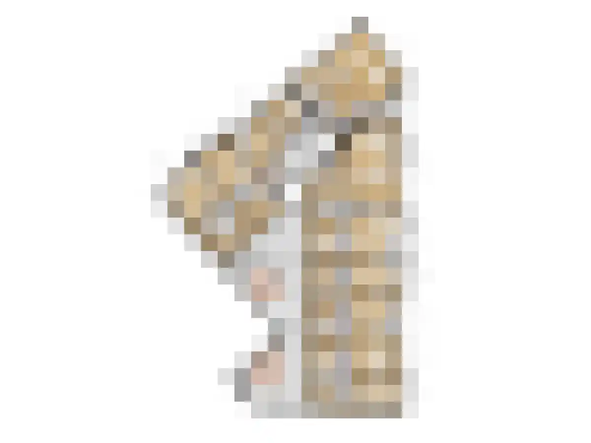 Grotestraat 4 Rijssen thumbnail 5