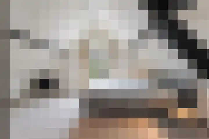 Grotestraat 44 Waalwijk thumbnail 36