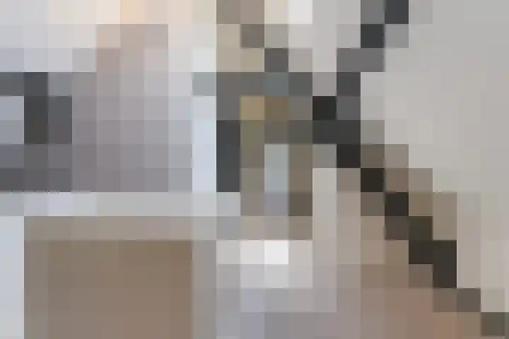 Grotestraat 44 Waalwijk thumbnail 40