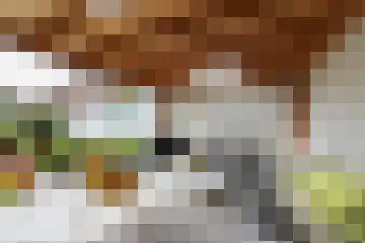 Grotestraat 44 Waalwijk thumbnail 54