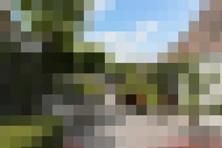 Grotestraat 44 Waalwijk thumbnail 57