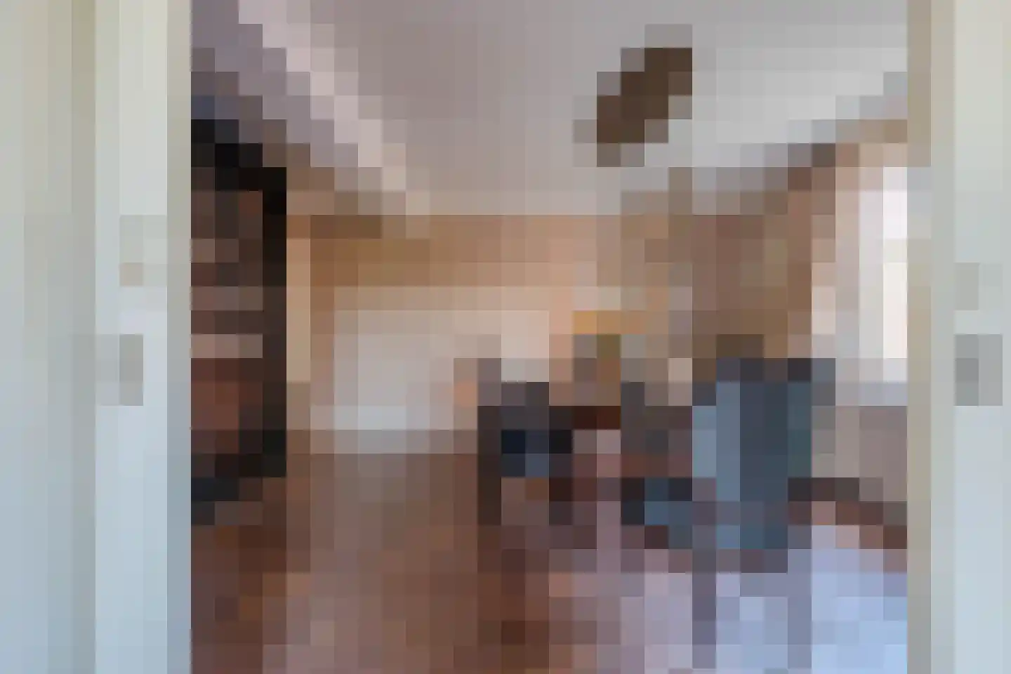 Grotestraat 48 Vierlingsbeek thumbnail 14