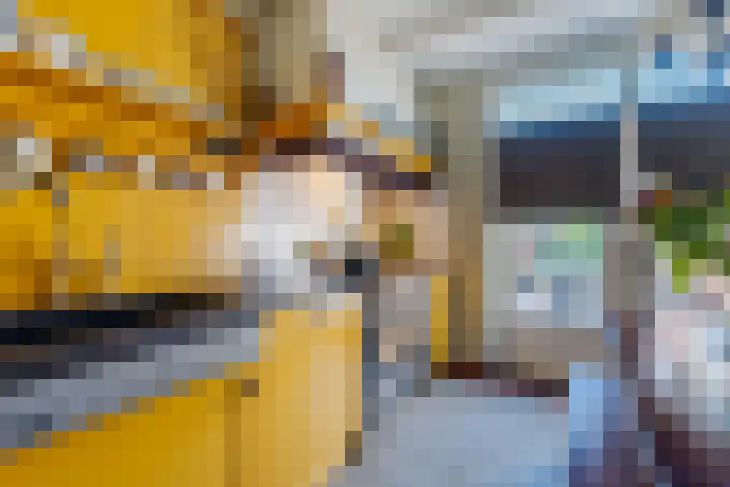 Grotestraat 48 Vierlingsbeek thumbnail 23