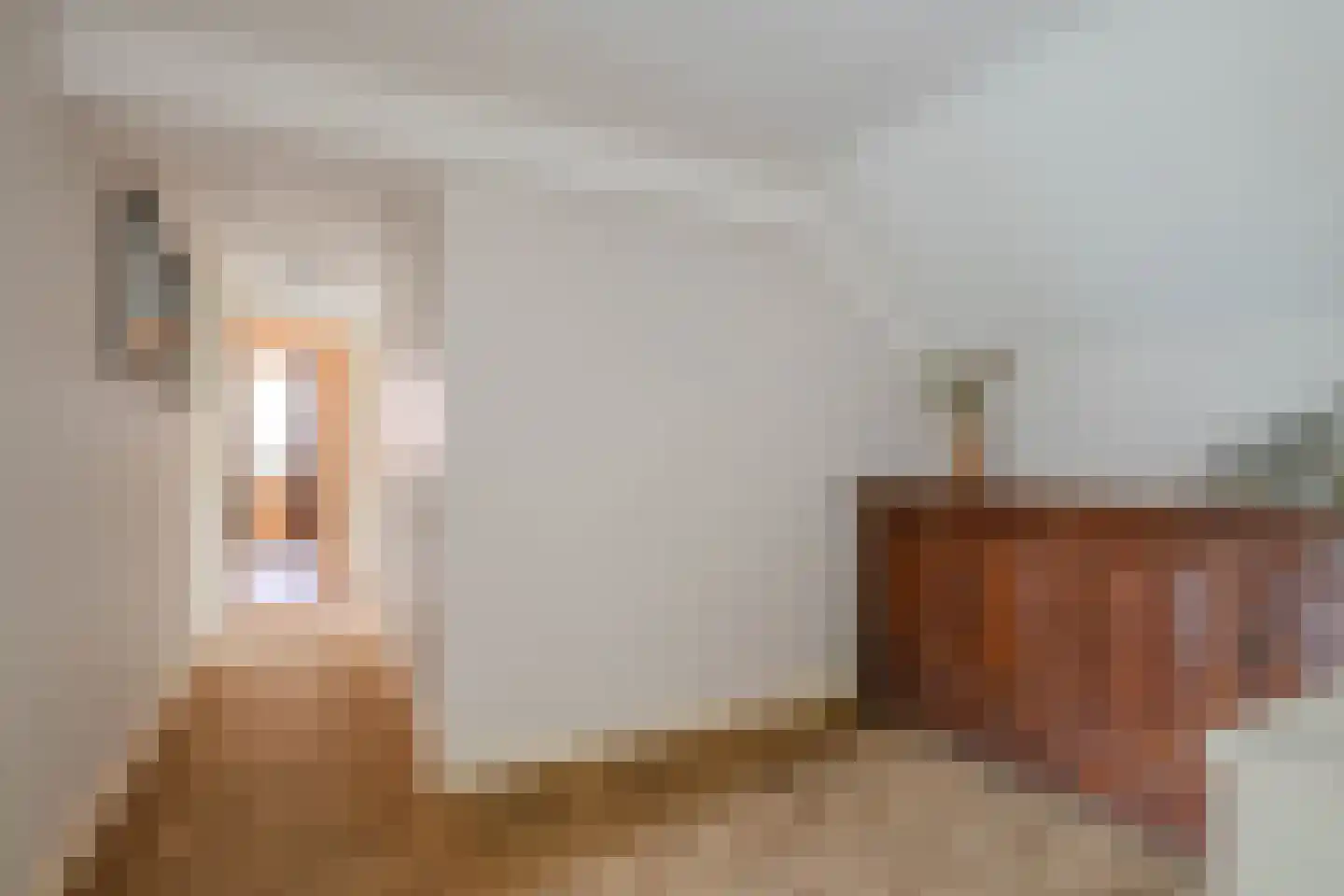 Grotestraat 48 Vierlingsbeek thumbnail 36