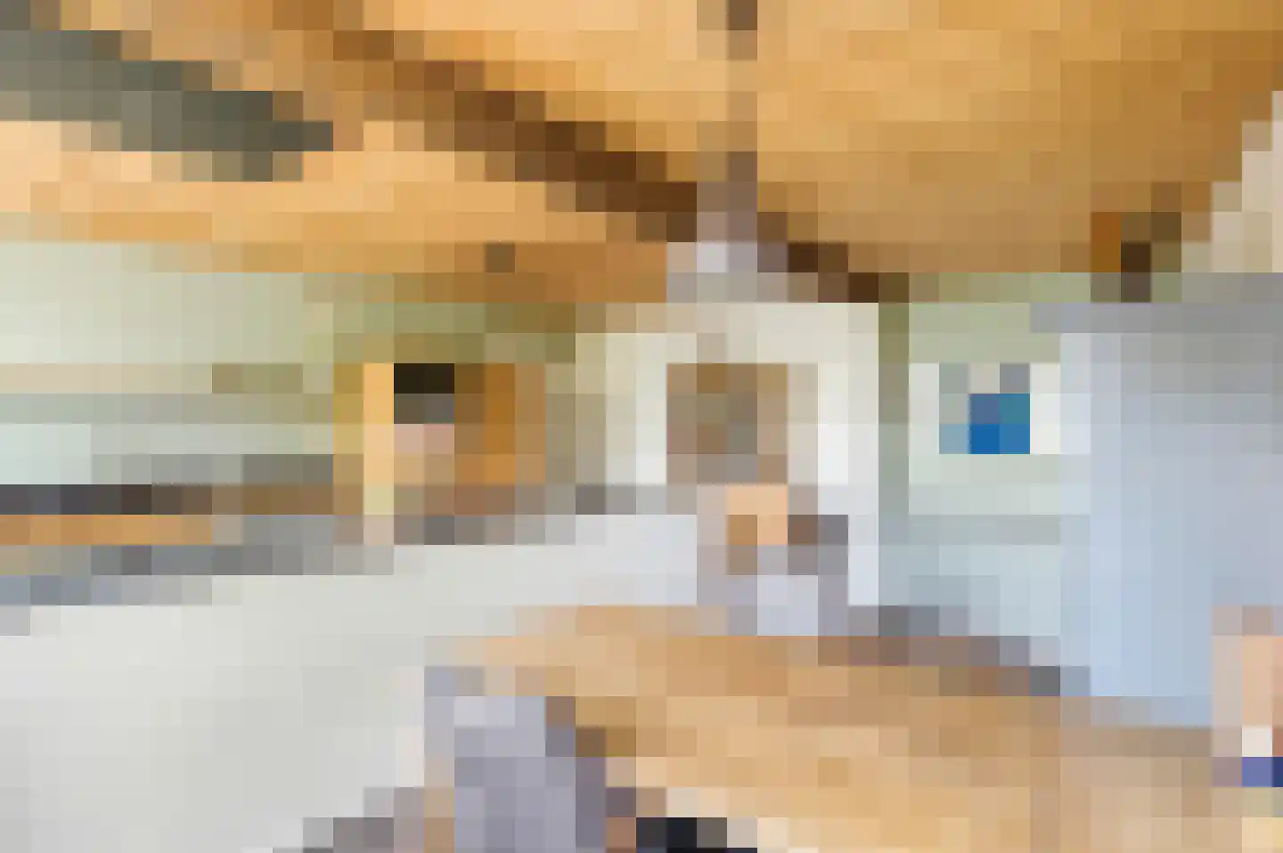 Grotestraat 49 Vierlingsbeek thumbnail 8