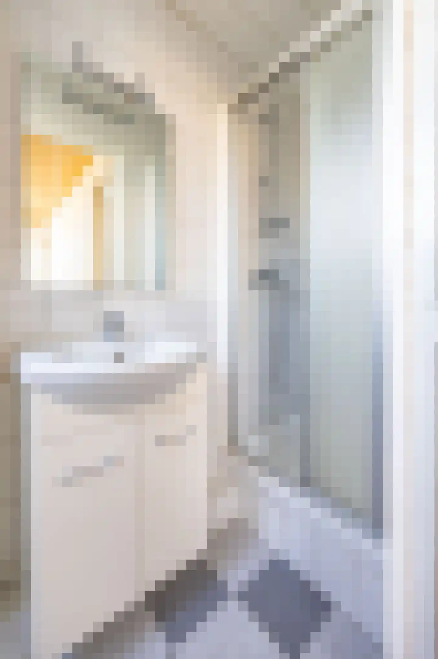Grotestraat 5 b Well L thumbnail 25