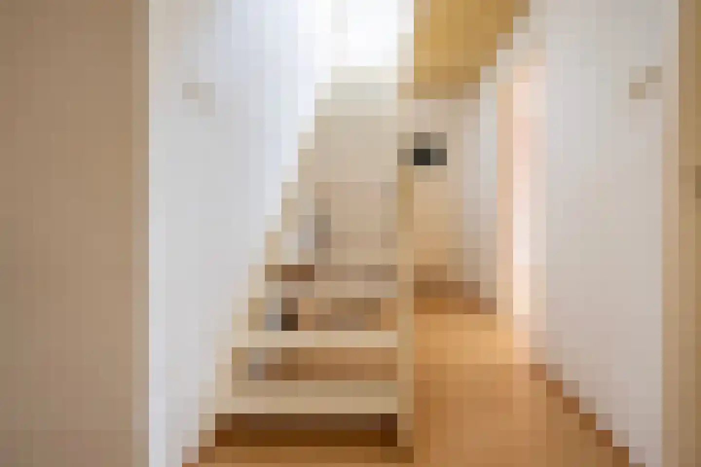 Grotestraat 5 b Well L thumbnail 9