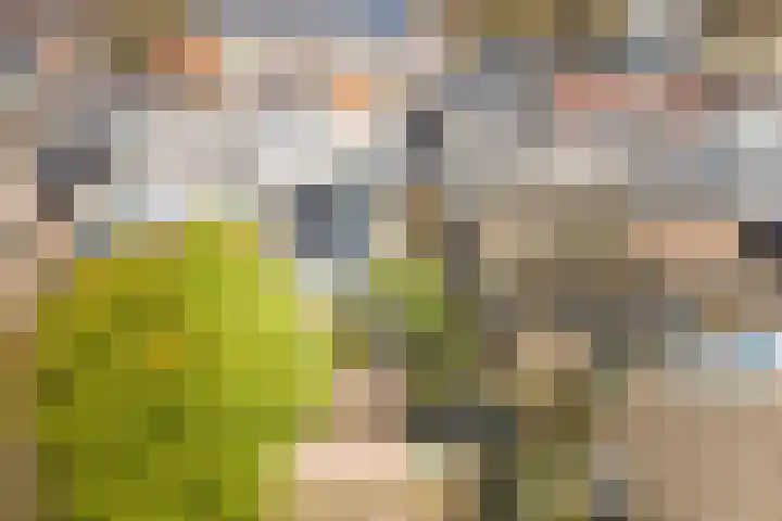 Grotestraat 51 Gendringen thumbnail 39