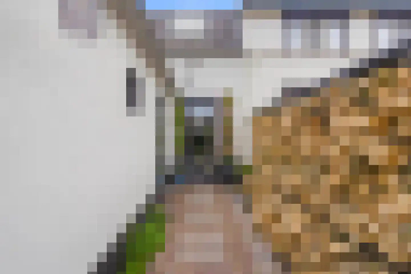 Grotestraat 52 Vierlingsbeek thumbnail 31