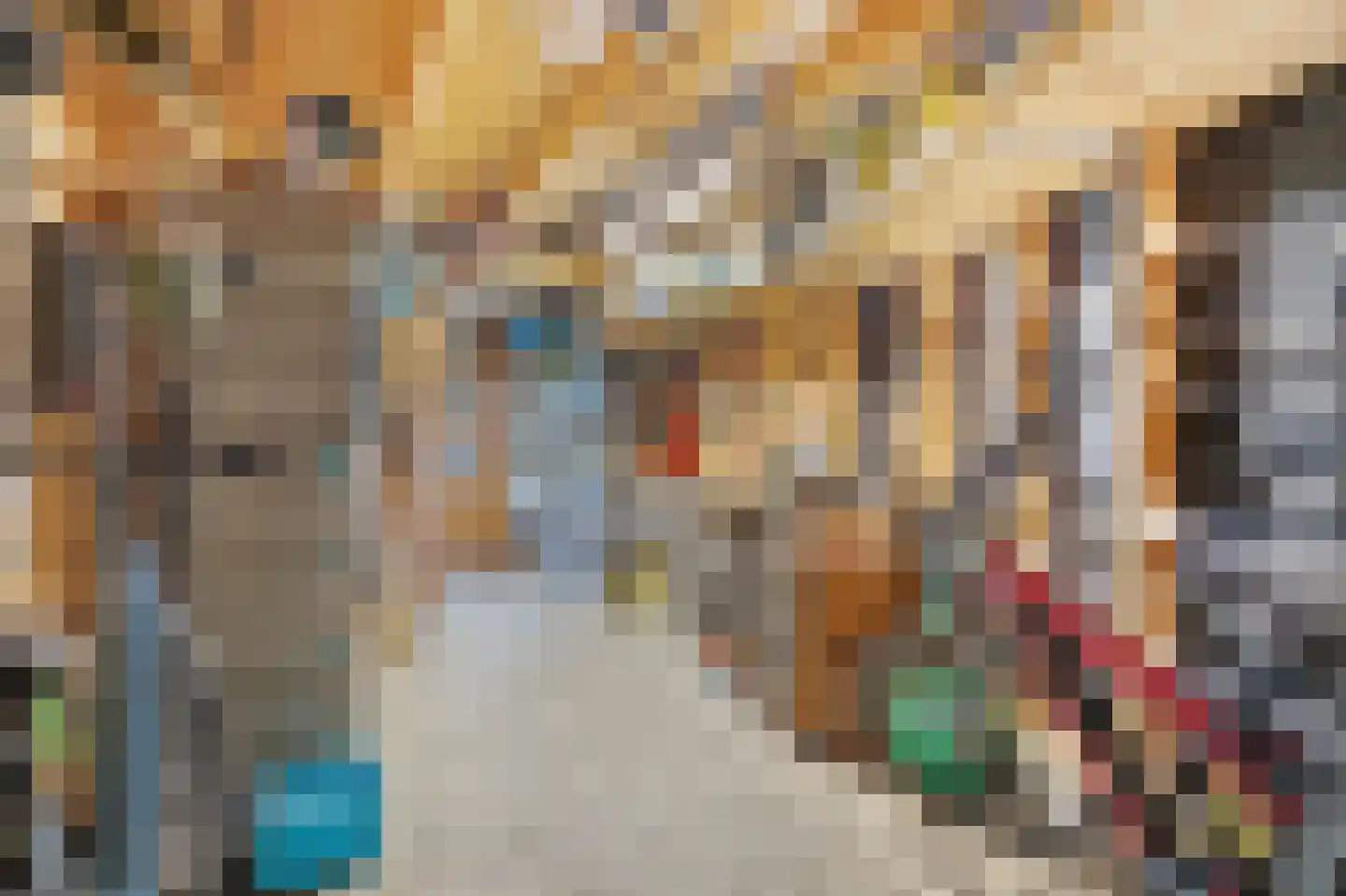 Grotestraat 52 Vierlingsbeek thumbnail 42