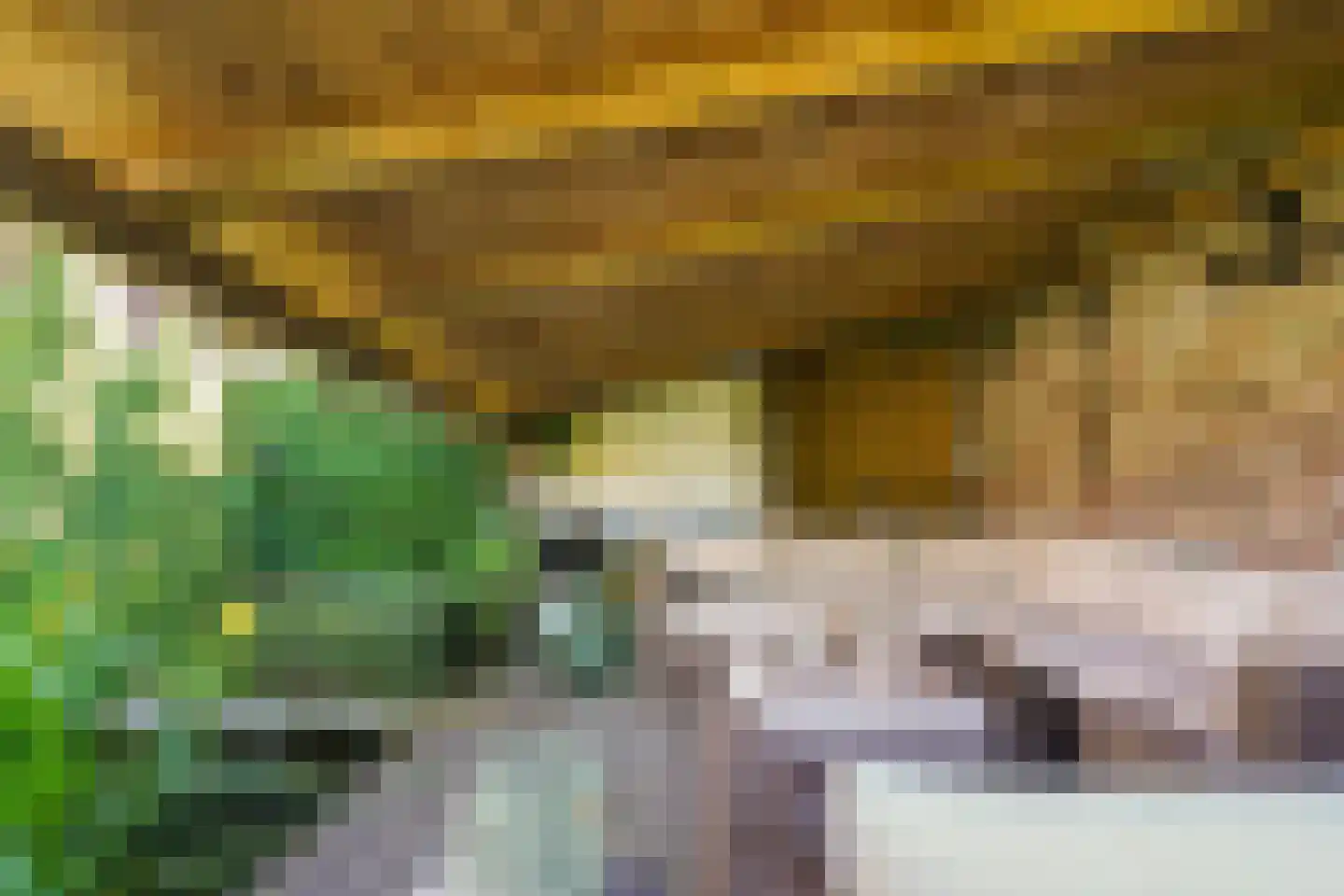 Grotestraat 55 Drunen thumbnail 46