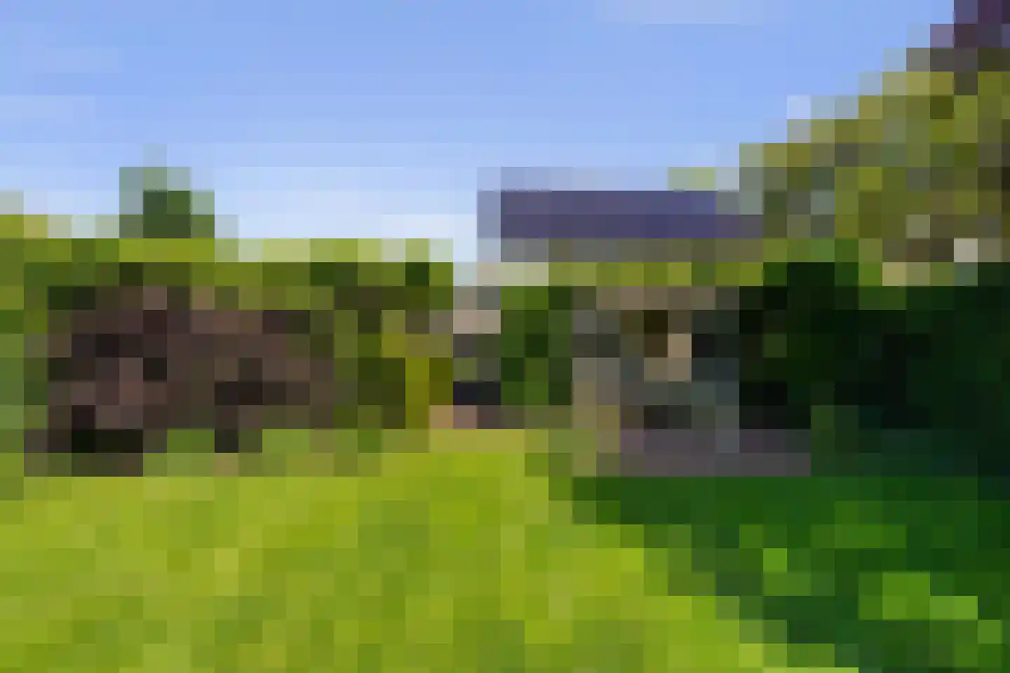 Grotestraat 55 Drunen thumbnail 51