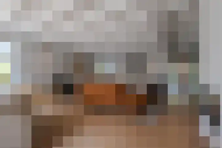 Grotestraat 6 Drunen thumbnail 10