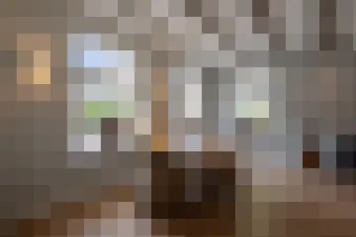 Grotestraat 6 Drunen thumbnail 11