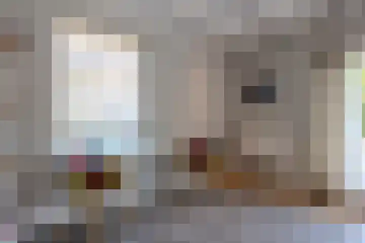 Grotestraat 6 Drunen thumbnail 17