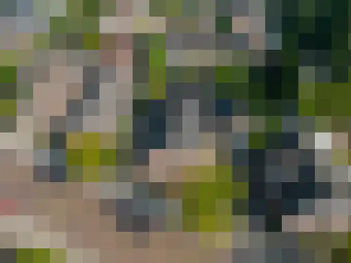 Grotestraat 6 Drunen thumbnail 53