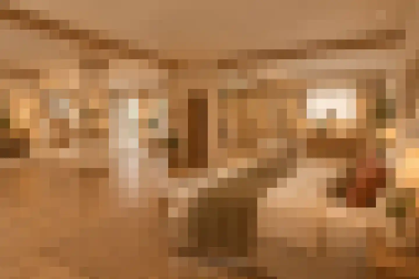 Grotestraat 6 Linne thumbnail 11