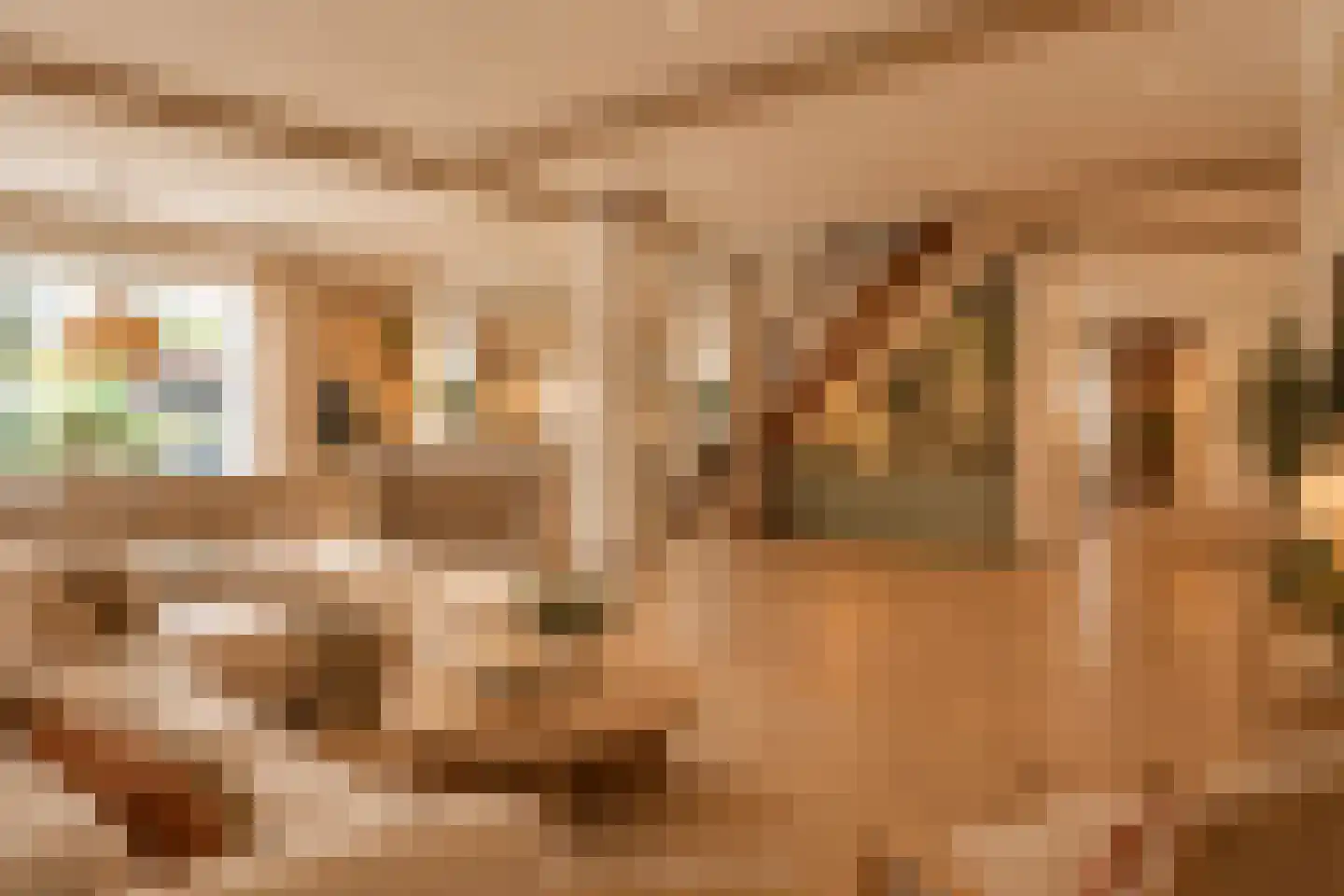 Grotestraat 6 Linne thumbnail 12