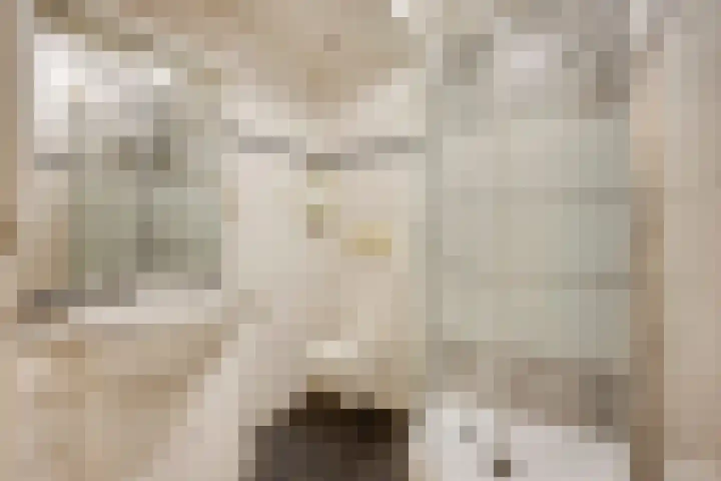 Grotestraat 6 Linne thumbnail 16