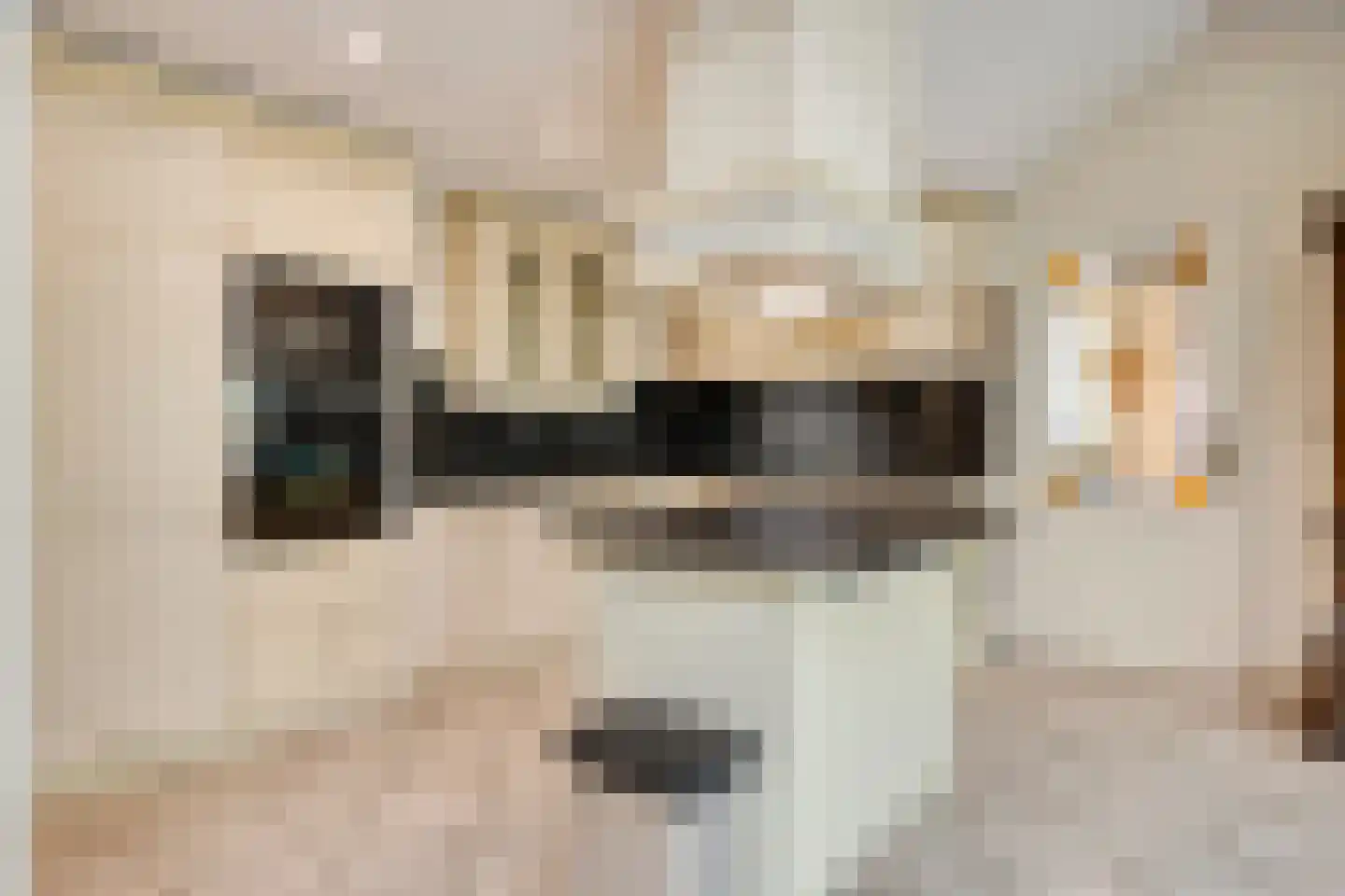 Grotestraat 6 Linne thumbnail 21