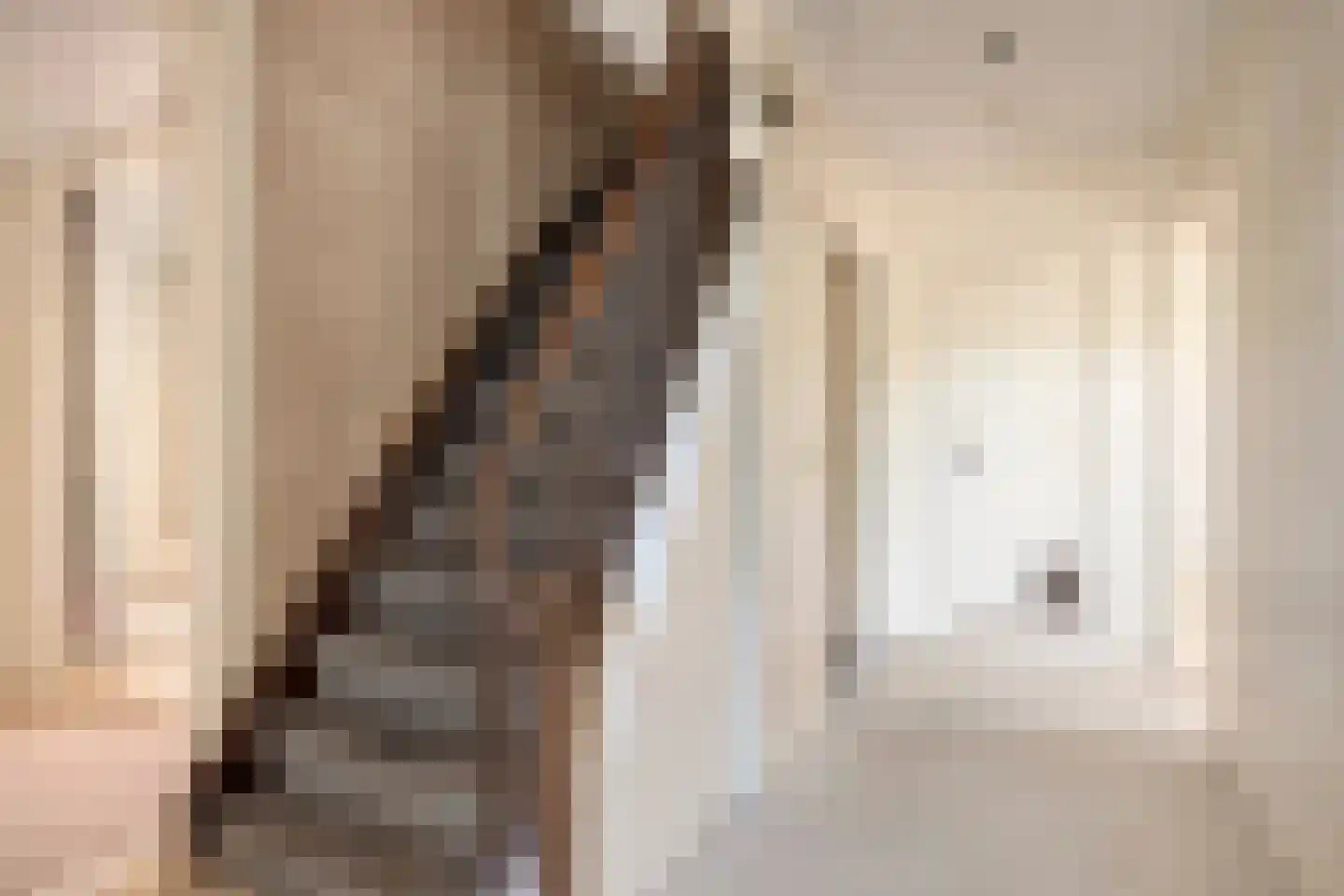 Grotestraat 6 Linne thumbnail 25