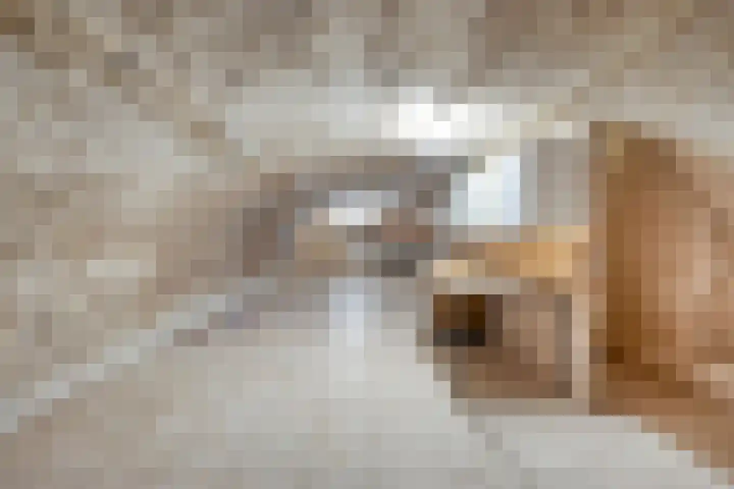 Grotestraat 6 Linne thumbnail 48