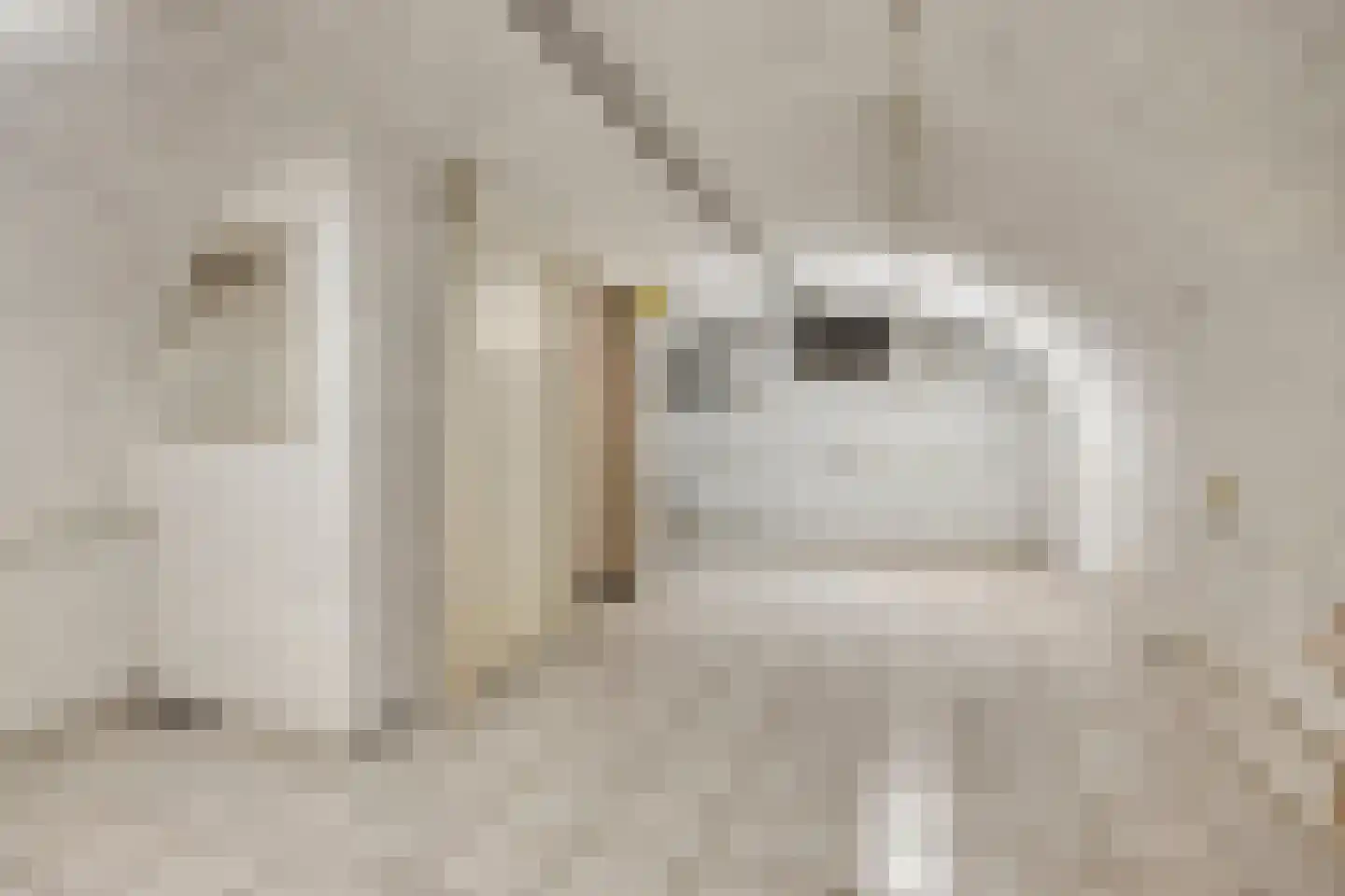 Grotestraat 6 Linne thumbnail 50