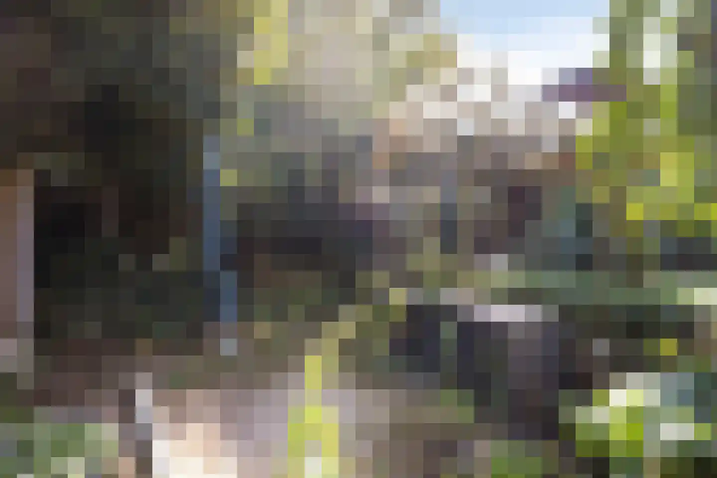 Grotestraat 6 Linne thumbnail 52