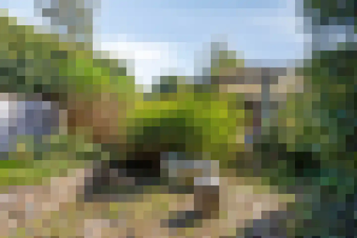 Grotestraat 6 Linne thumbnail 53