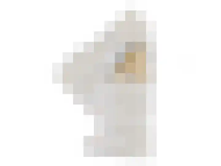 Grotestraat 6 Rijssen thumbnail 5