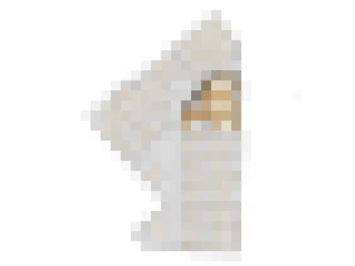 Grotestraat 6 Rijssen thumbnail 5