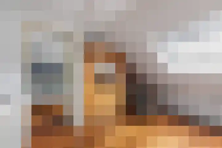 Grotestraat 65 Rossum thumbnail 16