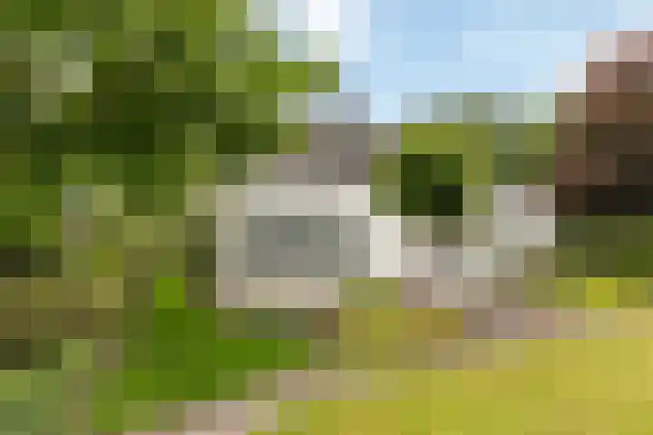 Grotestraat 65 Rossum thumbnail 6