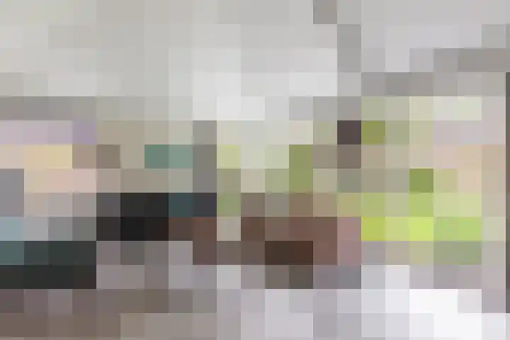 Grotestraat 65 Rossum thumbnail 8