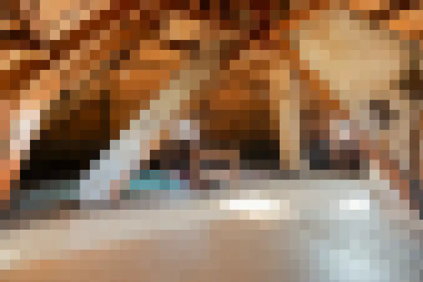 Grotestraat 66 Nijverdal thumbnail 38