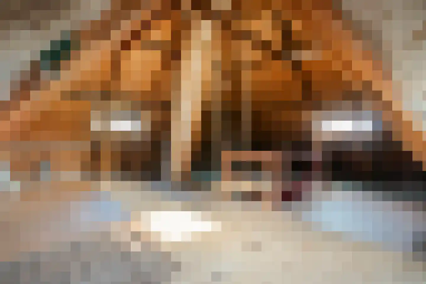 Grotestraat 66 Nijverdal thumbnail 39