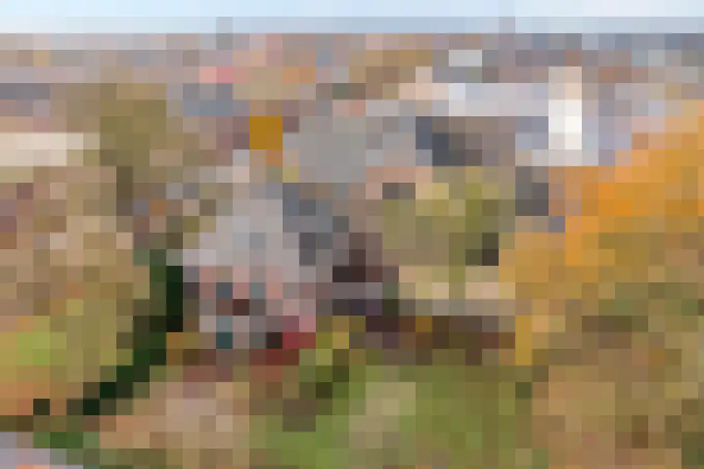 Grotestraat 66 Nijverdal thumbnail 5
