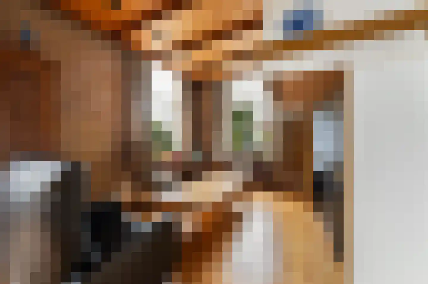 Grotestraat 69 Eibergen thumbnail 15