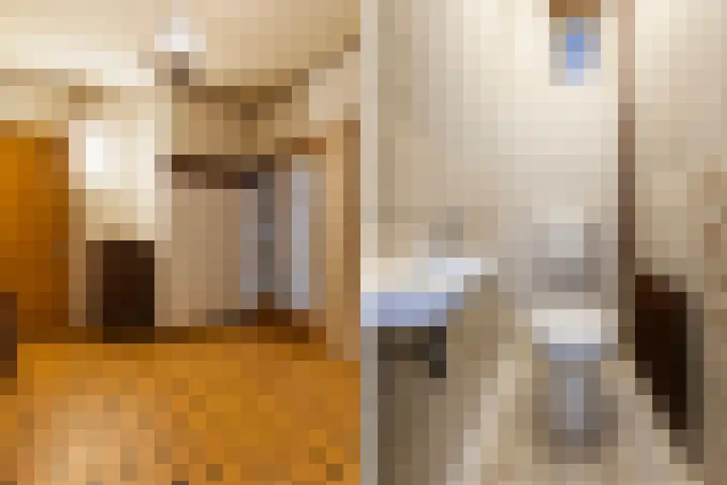 Grotestraat 69 Eibergen thumbnail 18