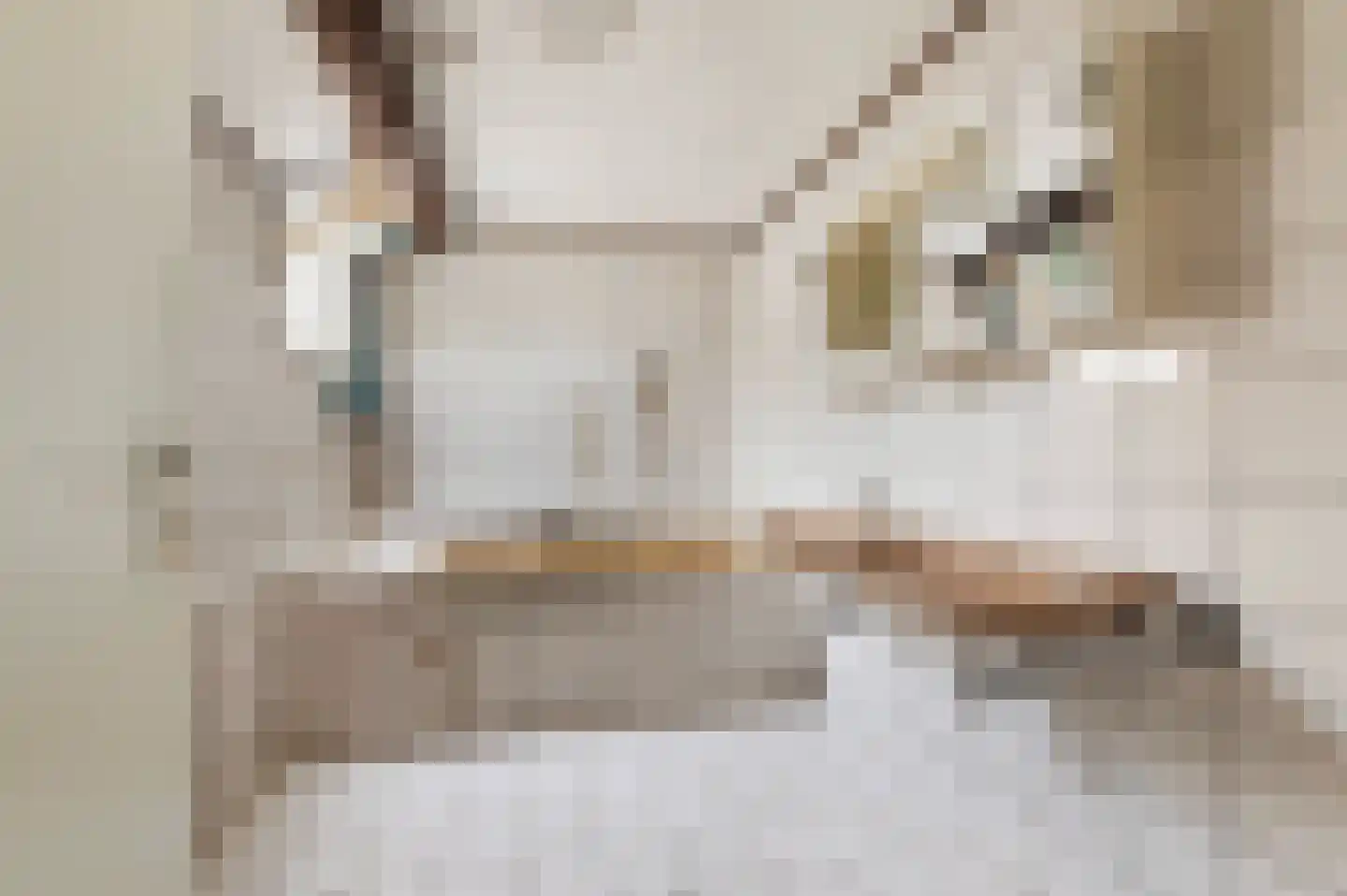 Grotestraat 69 Eibergen thumbnail 35