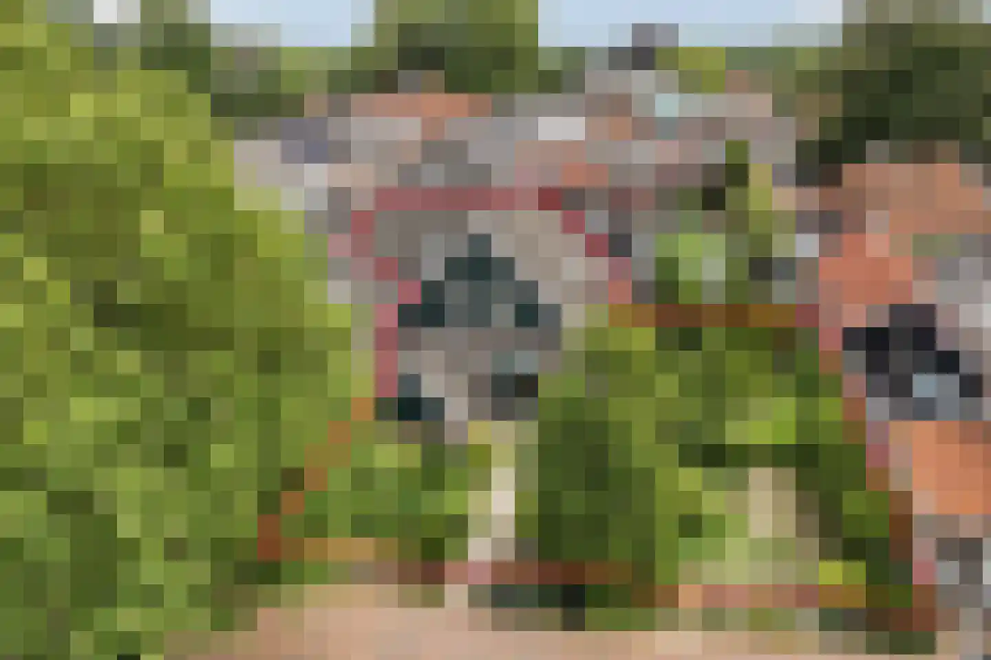 Grotestraat 69 Eibergen thumbnail 4